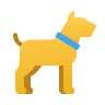 Animali