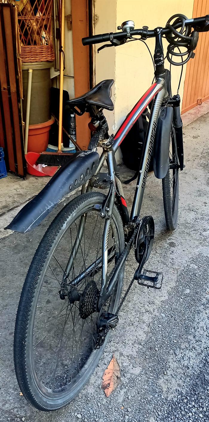 BICI BIANCHI FIRENZE 3