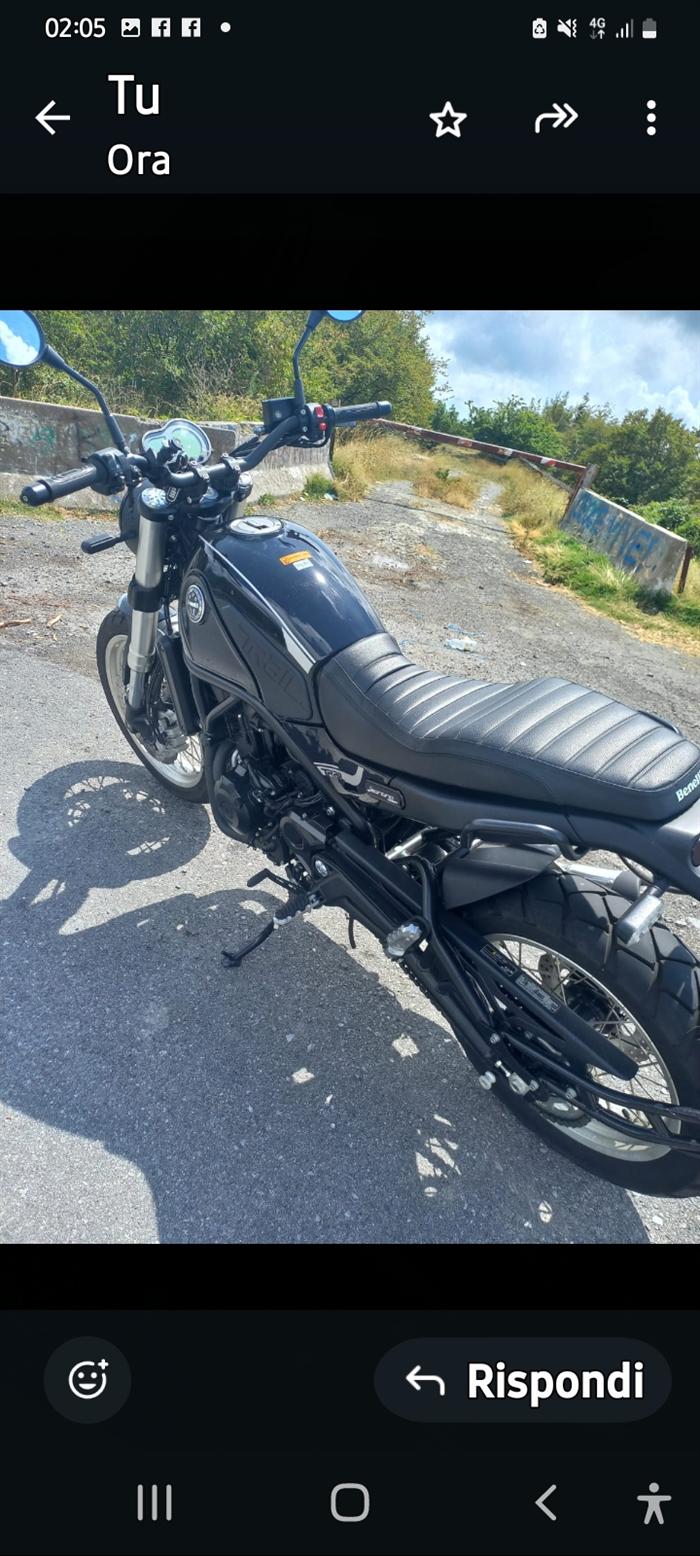 BENELLI LEONCINO 6